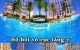 thum-9239863_3zO5fFpeTx_1780384131.jpeg