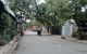 thum-9239918_LloXWnvepE_1780455111.jpg