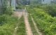 thum-9239944_xVYplDacif_1780465027.jpg