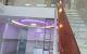 thum-9240065_4ibH5z10Zr_1780561159.jpg