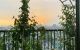 thum-9240067_eUTDQ6Yf2L_1780561531.jpg