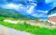 thum-9240192_isSQFOjapP_1780713720.jpg