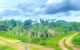 thum-9240415_Valo4L2Abx_1780926498.jpg