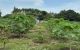 thum-m_YomOR7aSgW_1780900305.jpg