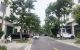 thum-9240517_dYiTS9nMqb_1781015970.jpg