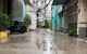 thum-m_pDVqO4tIoL_1780978901.jpg