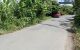 thum-9240528_pjBD5dcGXY_1781057740.jpg