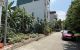 thum-m_OHNnlSoI5h_1781105855.jpg