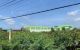 thum-9240628_WomnEUYVlX_1781149468.jpg