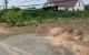 thum-m_hgy4kmVOCa_1781175524.jpg
