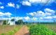thum-9240714_alm67J94if_1781235113.jpg