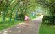 thum-9240784_6SAI9TKWmJ_1781275368.jpg