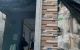 thum-9240920_3QYCOtlFvP_1781479549.jpg