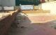 thum-9241130_0josK6VL5T_1781621006.jpg