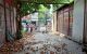 thum-9241135_gz0MAZxUeX_1781626899.jpg