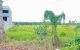 thum-9241154_UKJ5pkFiIs_1781663327.jpg