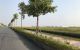 thum-9241217_KB3Sd2ILsP_1781686544.jpg