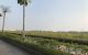 thum-9241217_VWarUgf4lF_1781686542.jpg
