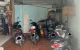 thum-9241225_VO8rqvPEY9_1781691916.jpg