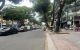 thum-9241279_8ciqfsvato_1781753655.jpg