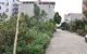 thum-9241333_InjQwLBbt2_1781842507.jpg