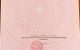 thum-9241373_T9SRWrI0fp_1781926628.jpg