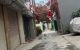 thum-m_F0MRwvdXJL_1781919602.jpg