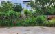 thum-m_XldsfWnp1D_1781942576.jpg
