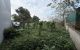 thum-9241460_oip2mzjOv9_1782030531.jpg