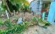 thum-m_ApIGidYLvO_1782118035.jpg