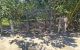 thum-9241792_YrL3ituMBw_1782289837.jpg