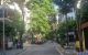 thum-m_nGkUaZ3rW5_1782266770.jpg