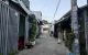 thum-9241839_8sOfiV4T09_1782361464.jpg