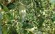 thum-9241887_7rYqcJaRE3_1782390303.jpg