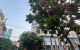 thum-m_6rTwYQKsl7_1782361972.jpg