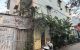 thum-9241902_tLKVJGXw7q_1782434393.jpeg