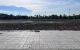 thum-9241910_3FT5I7mw4l_1782438984.jpg