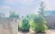 thum-m_rX5TIZvo2Q_1782464356.jpg
