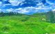 thum-9242099_9Q6OjNPydm_1782615635.jpg