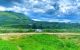 thum-9242099_QmdY7ac4vn_1782615637.jpg