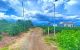 thum-9242211_4tCLSOy0IW_1782707653.jpg