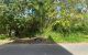 thum-9242306_KJ4By8dT7N_1782784005.jpg