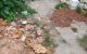thum-m_7MGf5WeFcb_1783135302.jpg