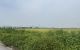 thum-m_UxYq2Id5Km_1783410841.jpg