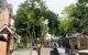 thum-9243052_q69FKtUxT7_1783523909.jpg