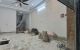 thum-9243193_5duHiLbcq9_1783657866.jpg