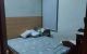thum-m_Keh5JiG3dT_1783868893.jpg