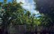 thum-9243403_Q1xgSe7YUP_1783912021.jpg