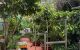 thum-9243427_3cqo8G02dH_1783925139.jpg
