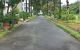 thum-m_Q28KkCrYmB_1783924953.jpg